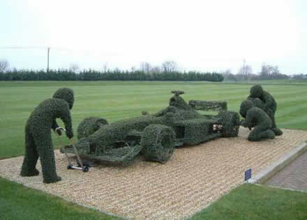 zelena F1