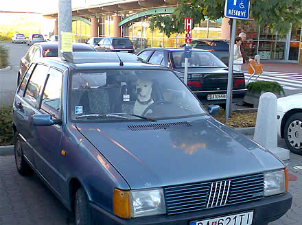 Vodic